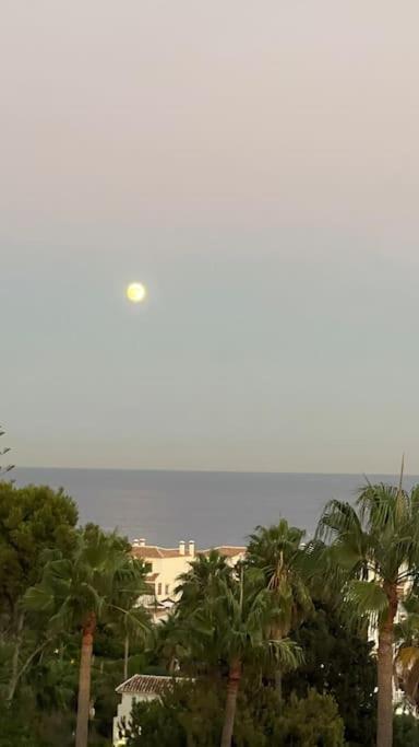 Apartamento Marina Del Sol 121 فوينخيرولا المظهر الخارجي الصورة