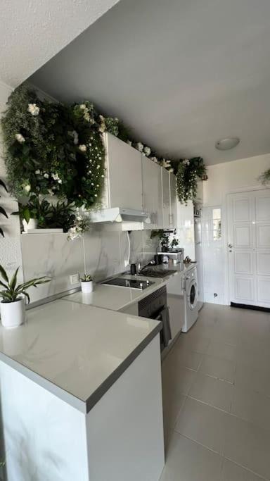 Apartamento Marina Del Sol 121 فوينخيرولا المظهر الخارجي الصورة